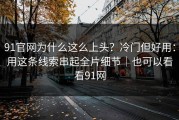 91官网为什么这么上头？冷门但好用：用这条线索串起全片细节｜也可以看看91网