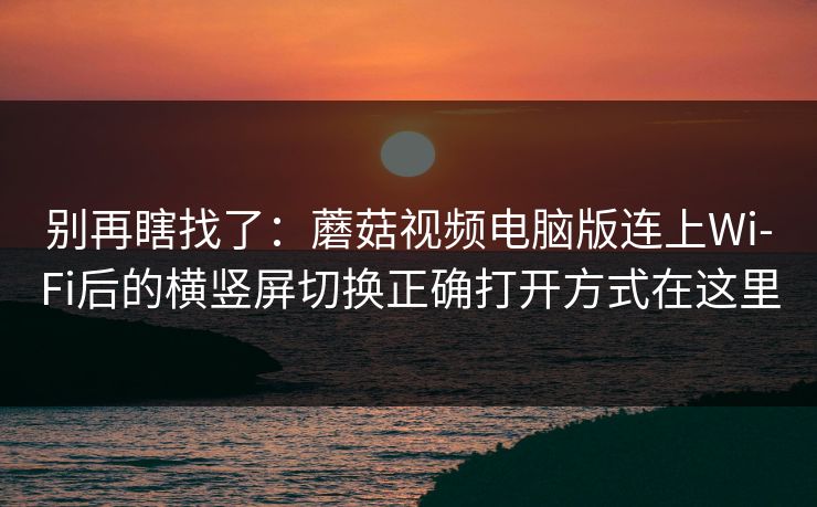 别再瞎找了：蘑菇视频电脑版连上Wi‑Fi后的横竖屏切换正确打开方式在这里