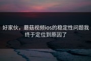 好家伙，蘑菇视频ios的稳定性问题我终于定位到原因了