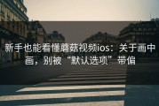 新手也能看懂蘑菇视频ios：关于画中画，别被“默认选项”带偏