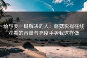 给想要一键解决的人：蘑菇影视在线观看的音量与亮度手势我这样做