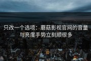 只改一个选项：蘑菇影视官网的音量与亮度手势立刻顺很多