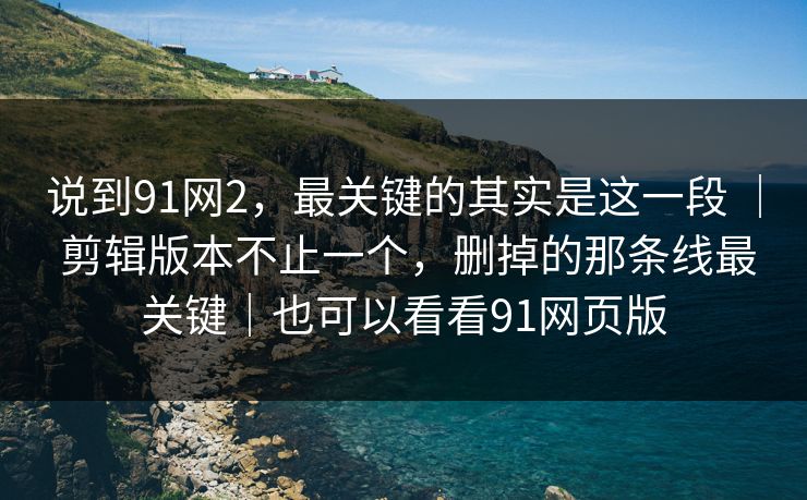说到91网2，最关键的其实是这一段 ｜ 剪辑版本不止一个，删掉的那条线最关键｜也可以看看91网页版