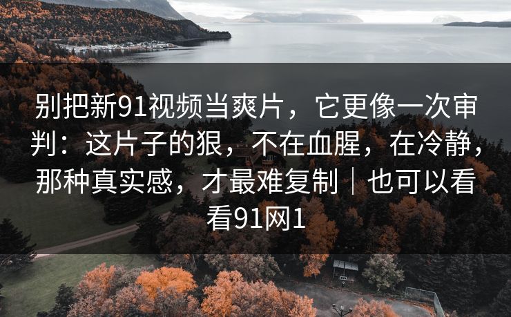 别把新91视频当爽片，它更像一次审判：这片子的狠，不在血腥，在冷静，那种真实感，才最难复制｜也可以看看91网1