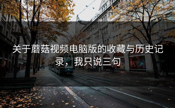 关于蘑菇视频电脑版的收藏与历史记录，我只说三句