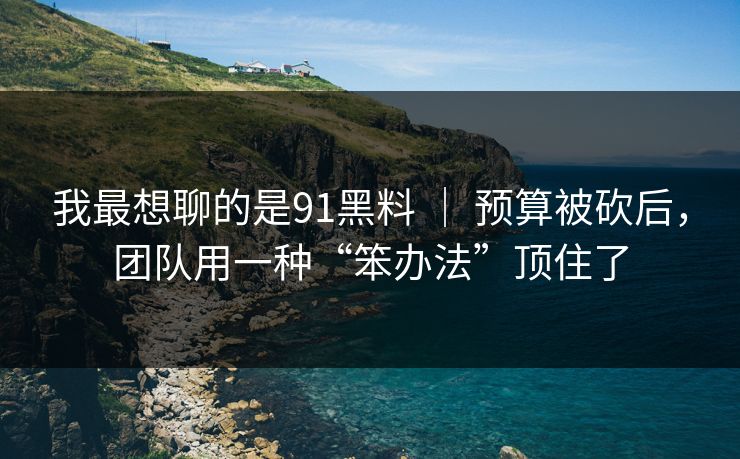 我最想聊的是91黑料 ｜ 预算被砍后，团队用一种“笨办法”顶住了