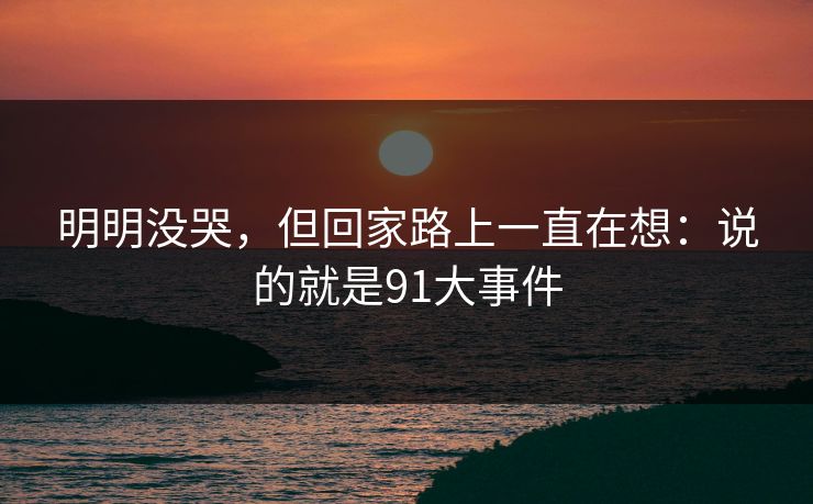 明明没哭，但回家路上一直在想：说的就是91大事件