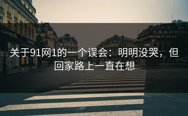 关于91网1的一个误会：明明没哭，但回家路上一直在想