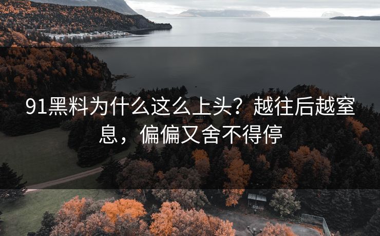 91黑料为什么这么上头?越往后越窒息,偏偏又舍不得停 91黑料为什么这么上头?越往后越窒息,偏偏又舍不得停