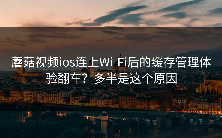 蘑菇视频ios连上Wi‑Fi后的缓存管理体验翻车？多半是这个原因
