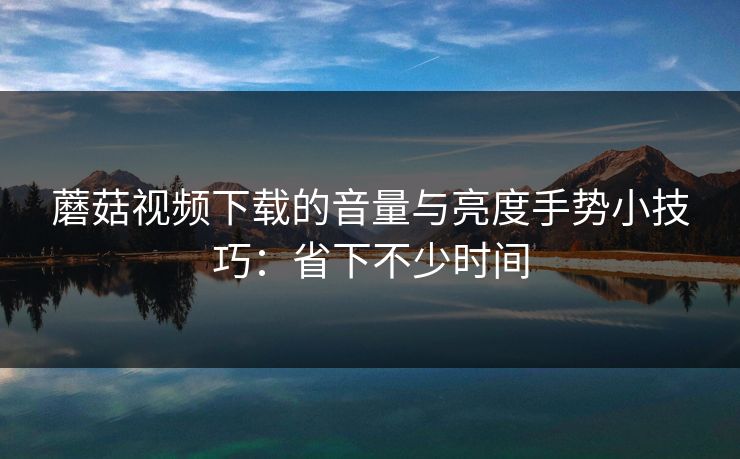 蘑菇视频下载的音量与亮度手势小技巧：省下不少时间