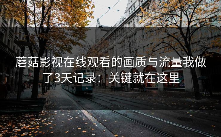 蘑菇影视在线观看的画质与流量我做了3天记录:关键就在这里 蘑菇影视在线观看的画质与流量我做了3天记录:关键就在这里