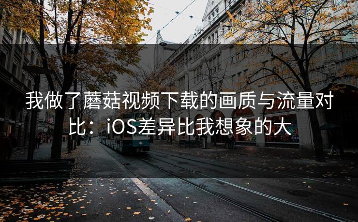 我做了蘑菇视频下载的画质与流量对比：iOS差异比我想象的大